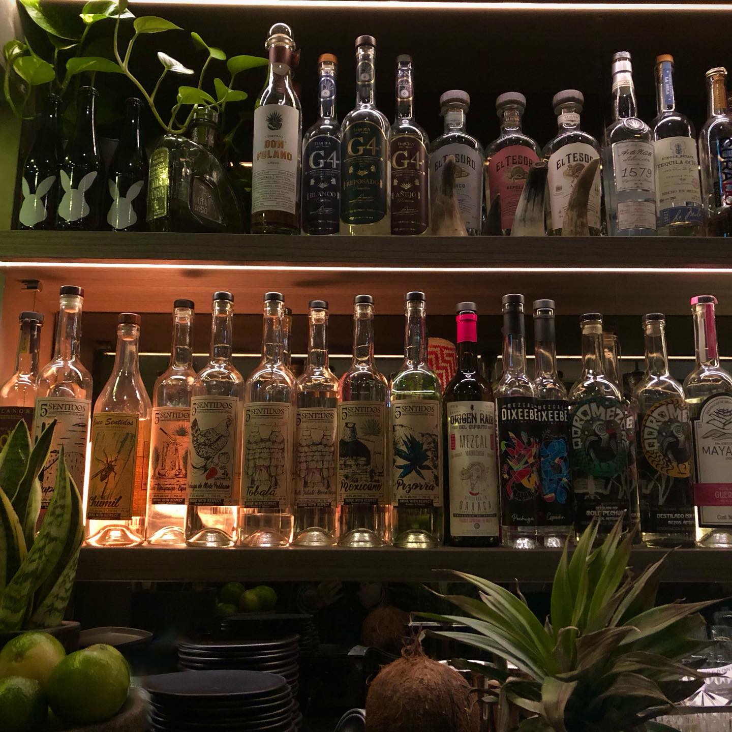 The agave collection at El Quiote Bar